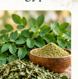 Moringa